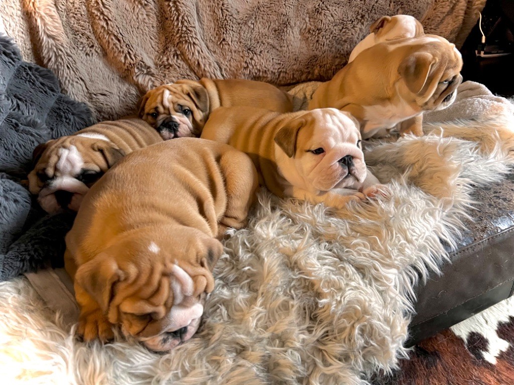 Les bébés grandissent 7 semaines aujourd?hui